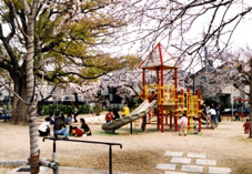 津知公園現在の写真