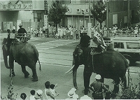 象の行進・昭和45年