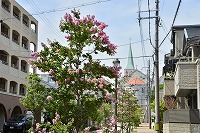 芦屋の秋のはじまり写真7