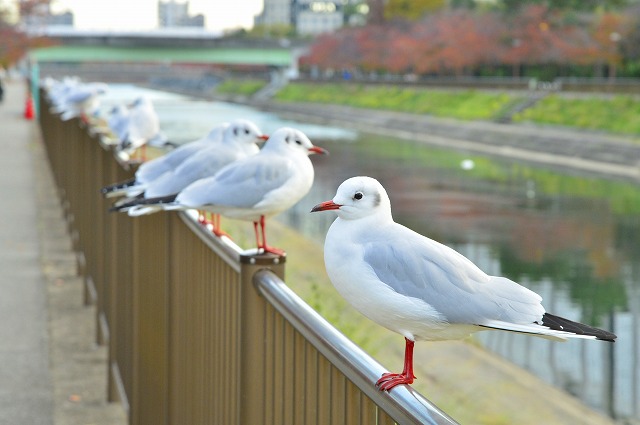 みんな一緒にいるよ