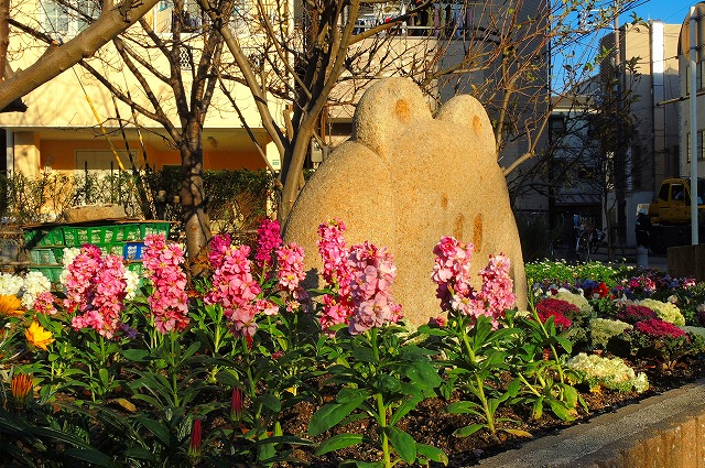大桝公園の花壇