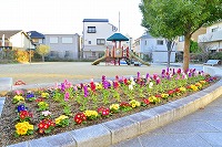 芦屋の冬のはじまり写真11