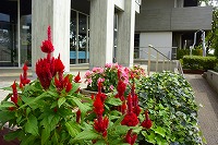 芦屋の秋みーつけた！写真1