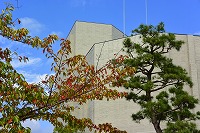 芦屋の秋みーつけた！写真3