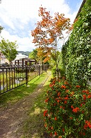 芦屋の秋みーつけた！写真10