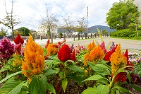 芦屋の秋みーつけた！写真11