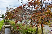 芦屋の秋みーつけた！写真12