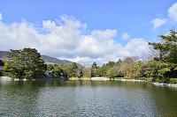 冬が終わり、暖かい春がやってきます 写真11