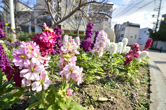 ストック（大桝公園）