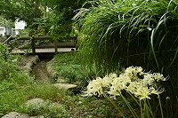 芦屋の秋を探しに行こう写真7