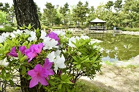 花と緑の芦屋写真1