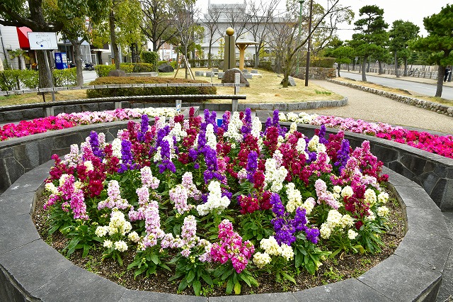 花壇（業平公園）