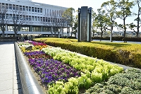 春を待つ芦屋写真4