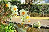 芦屋の冬景色写真2