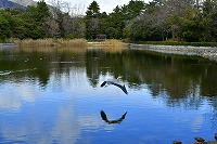 芦屋の冬景色写真5