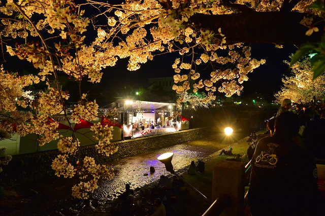 夜は違った魅力がありますね