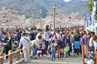 第28回芦屋さくらまつりと市内のサクラの写真6