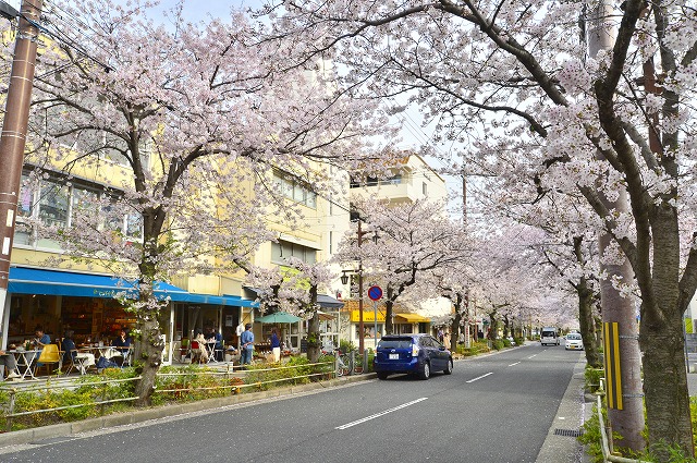 茶屋之町のカフェでくつろぎながらお花見