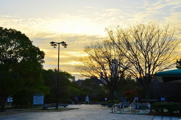 冬の夕暮れ（中央公園）