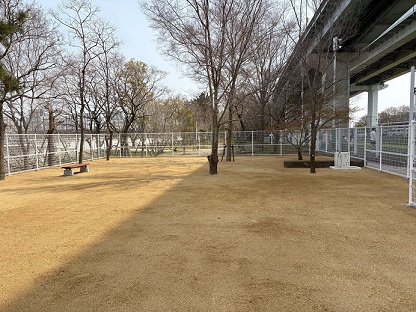 dogrun