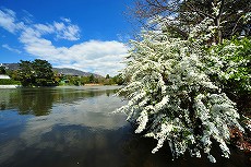 仲ノ池緑地