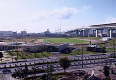 写真：芦屋市総合公園