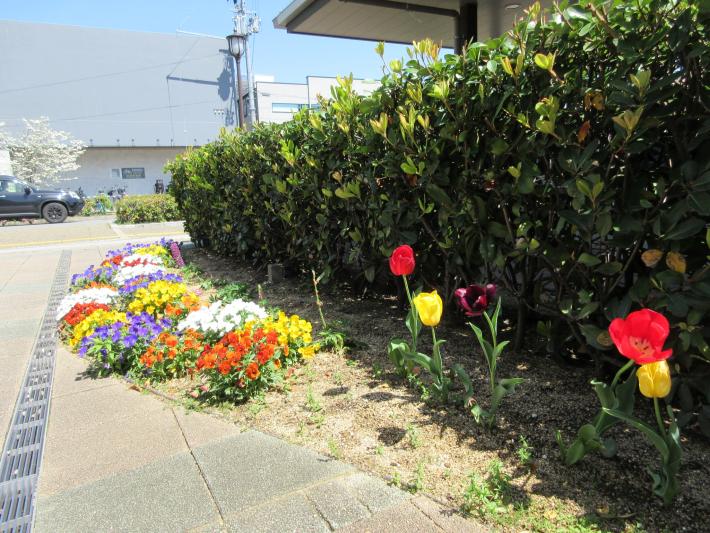 木口記念会館東門