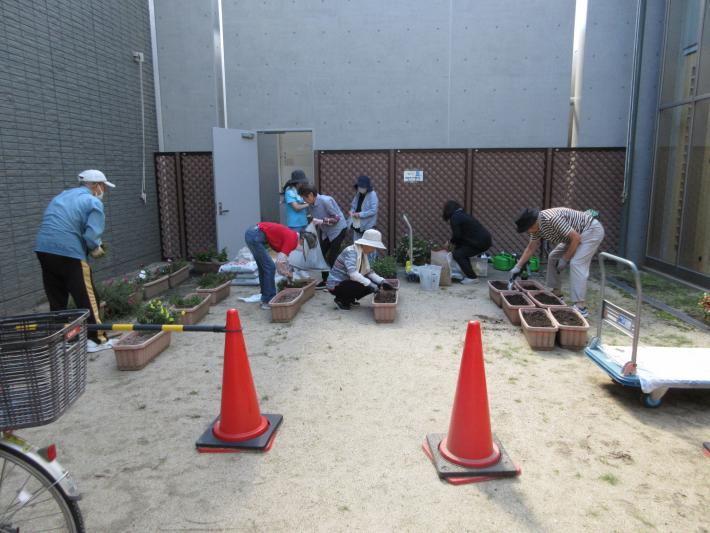 植替え作業中です