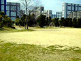 東浜公園