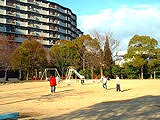 新浜公園