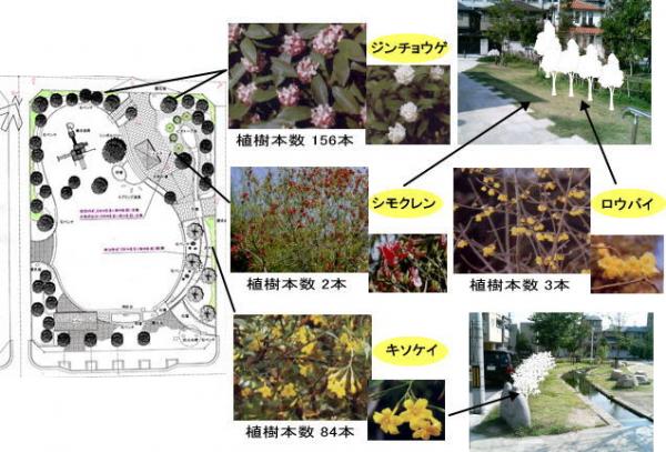 公園魅力アップ計画（大枡公園）完成予想図