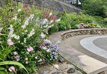 翠の花の会