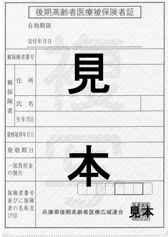 写真：被保険者証の見本