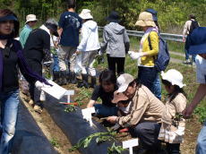 画像：平成21年5月9日里山探検-07