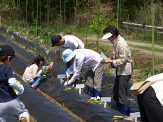 画像：平成21年5月9日里山探検-08