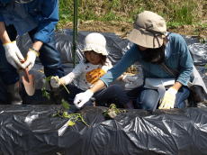 画像：平成21年5月9日里山探検-09