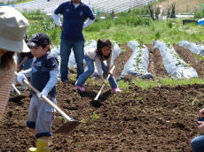 画像：平成21年5月9日里山探検-13