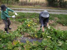 画像：平成21年10月17日里山探検-07