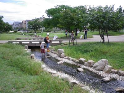 写真：総合公園を流れる小川にて虫探し