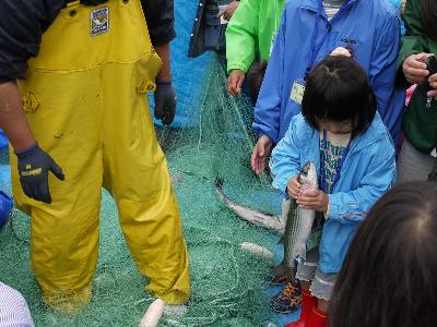 写真：網にかかった魚