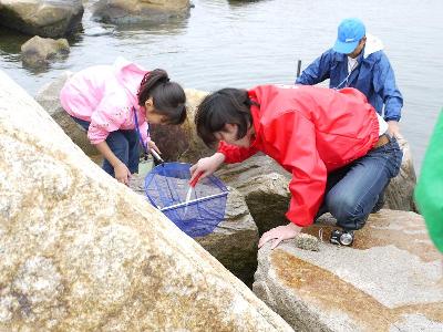 写真：磯の生き物探しと観察会の様子