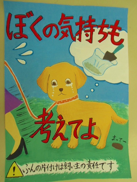 精道中学校山川桃菜画像