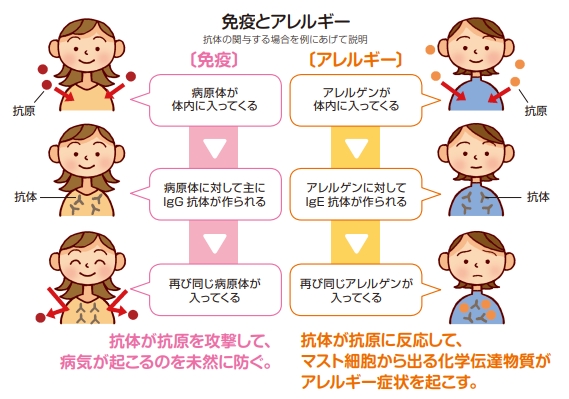 免疫とアレルギー