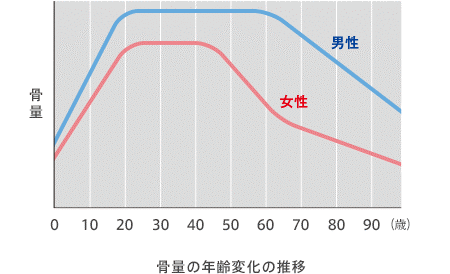 骨量画像