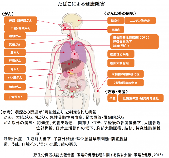 tabakoniyorukennkousyougai600
