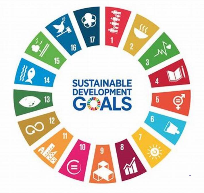 sdgs