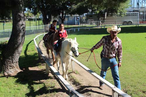 barnyard_pettin_zoo