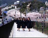 桜・山邑邸と芦屋川