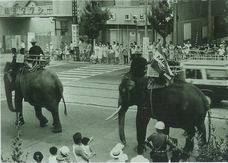 象の行進
