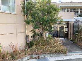 つくしくるみ外観